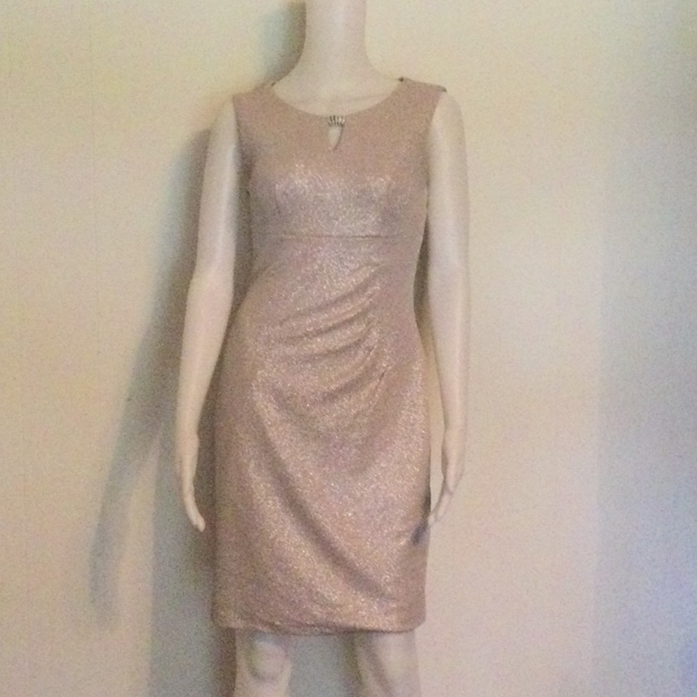 Perfect for the Holidays Scarlett Silver Glitter Sheath Dress Size 4